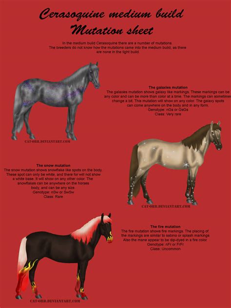 Mutations Sheet By Ilovebeer08 On Deviantart