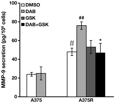 Targeting The PI3K AKT MTOR Pathway Overcomes The Stimulating Effect Of