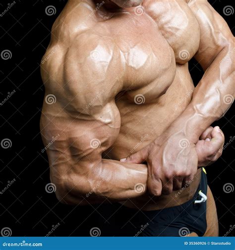 Naked Male Bodybuilders Flexing Telegraph