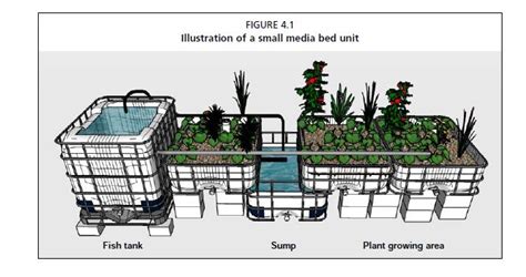 Aquaponics System Passive Solar Greenhouse Build Ecorenovator