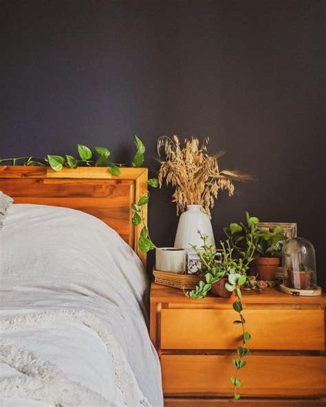 84 Idées Déco pour Mettre en Valeur vos Plantes Idee deco Petite