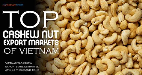 Top Cashew Nut Export Markets Of Vietnam