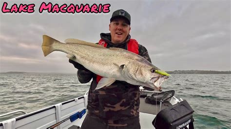 Lake Macquarie Fishing Back On The Water Chasing Jewfish Mulloway