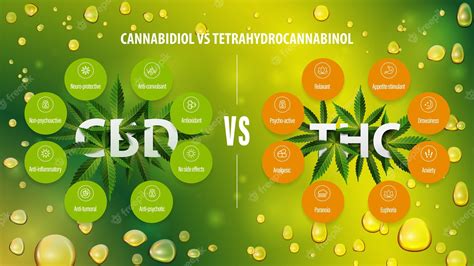 Afiche De Información Verde De Cbd Vs Thc Con Comparación Cbd Y Thc