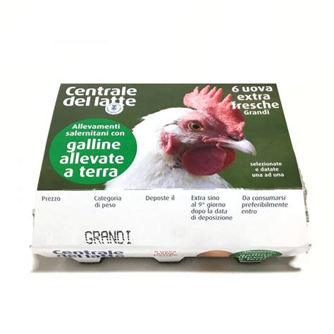 Uova Extra Fresche Da Galline Allevate A Terra Centrale Del Latte Di