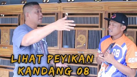 NENGOKIN PEYIKAN YANG ADA DI KANDANG GONG PEE 08 ISTIMEWA KANDANGNYA