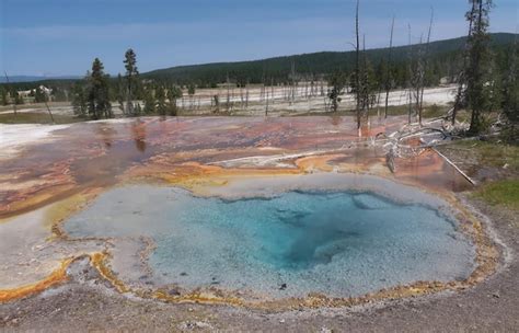 Premium Photo Landscape Of Multi Colored Hot Spring In Yellowstone National Park