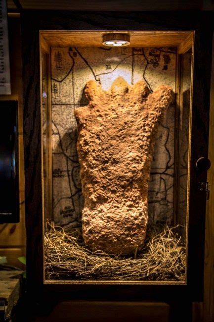 Visiting The Expedition Bigfoot Museum Aka Sasquatch Museum In Cherry