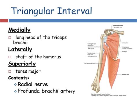 Triangular Interval