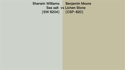 Sherwin Williams Sea Salt Sw 6204 Vs Benjamin Moore Lichen Stone Csp