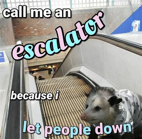 Call me an escalator because i let people down Funny Animal Memes ...