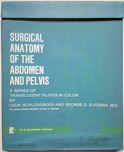 Surgical Anatomy Of The Abdomen And Pelvis A Series Of Translucent