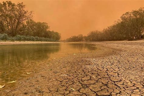 Locals Move To Mark Bogan River Massacre The Coonamble Times