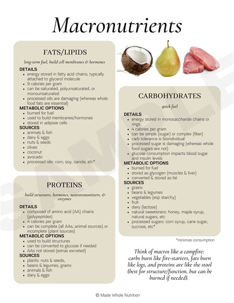 Macronutrients Handout — Functional Health Research + Resources — Made ...