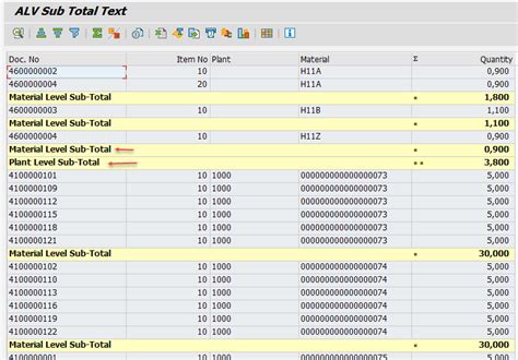 Sub Total Text In Abap Alv Grid Hot Sex Picture