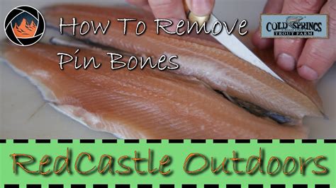 A Detailed Look At How To Fillet A Trout And Remove The Pin Bones YouTube