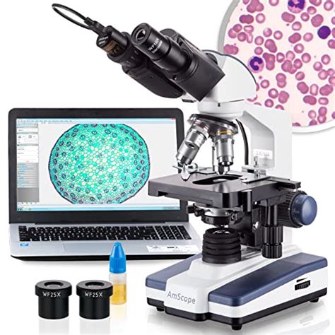 Los Mejores MICROSCOPIOS ÓPTICOS 2024