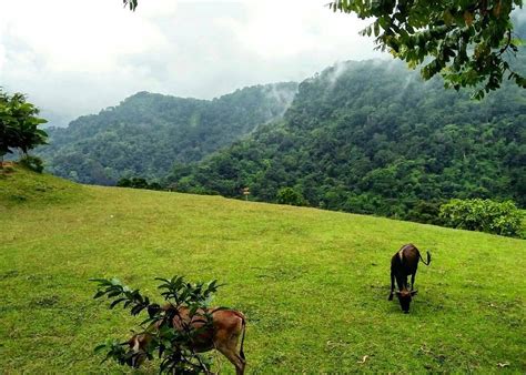 Taman Wisata Alam Cadas Gantung Menikmati Pesona Alam Kabupaten