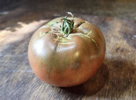 Carbon Tomato Seeds Heirloom Tims Tomatoes