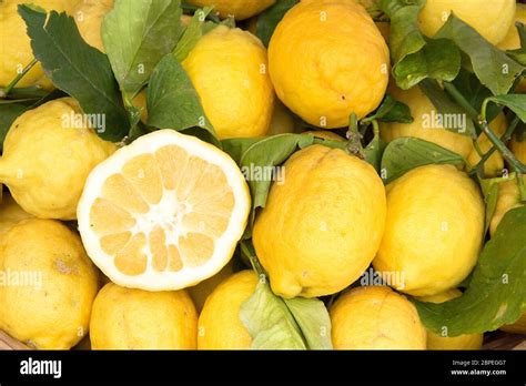 Sorrento lemons on the market Stock Photo - Alamy
