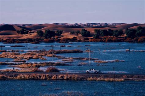 Travel Through Wetlands In The Desert Smithsonian Photo Contest