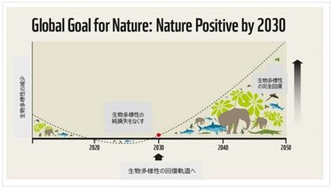 5月22日は「国際生物多様性の日」生物多様性の世界的な動向と、今すぐできるアクション ｜wwfジャパン