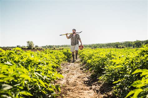 Plano Safra Cr Dito Rural Chega Perto De R Bilh Es At Novembro