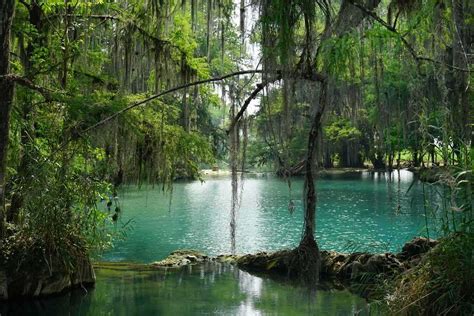 Exploring Huasteca Potosina’s Best Waterfalls - A World to Travel