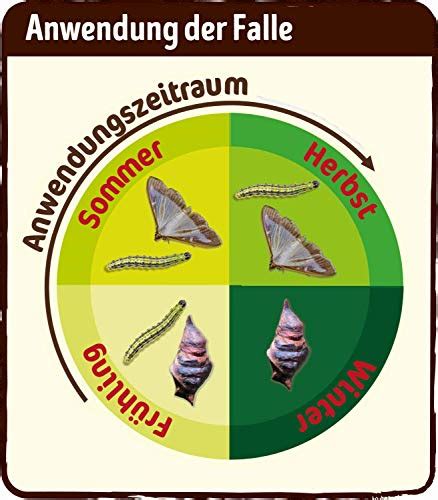 Substral Bio Buchsbaumzünsler Nachfüllpheromon für alle gängigen