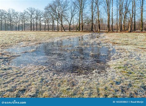 Frozen Puddle Of Water In Grassland Stock Image Image Of Green