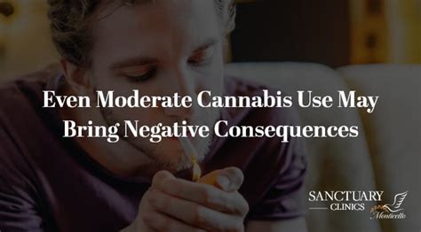 Even Moderate Cannabis Use May Bring Negative Consequences Sanctuary