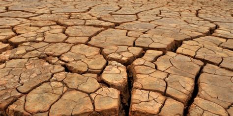 Erosão do solo como combater essa ameaça à produção agrícola