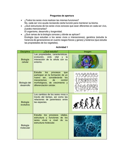 SOLUTION Ramas De La Biolog A Y Funciones De Los Seres Vivos Studypool