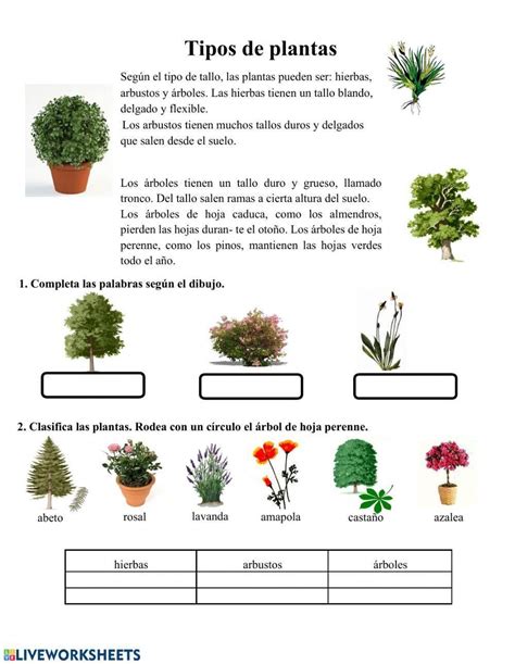 Fichas Primaria Con Ejercicios De Ciencias Naturales Ciencias