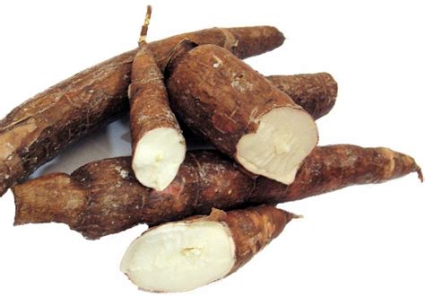 How To Plant And Harvest Cassava Hubpages