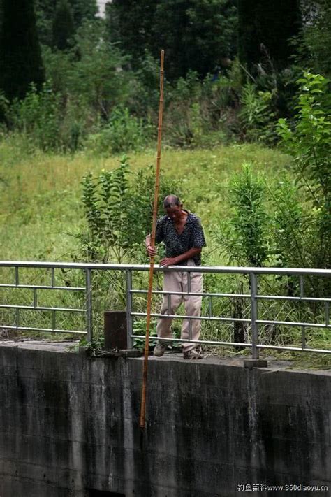 叉鱼这种野蛮的逮鱼方法，既刺激又考验着人的智慧 休闲钓鱼 钓鱼心得网