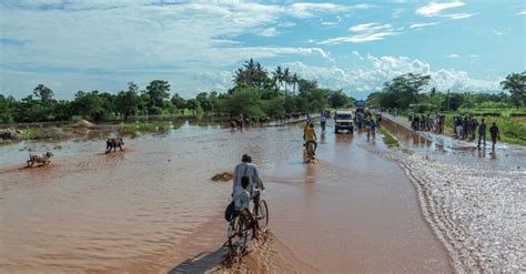 MOZAMBIQUE le cyclone Éloise menace la biodiversité et la sécurité