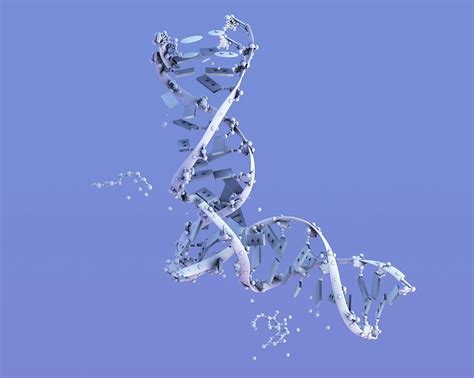 Dna Molecular Structure by Ella Maru Studio / Science Photo Library