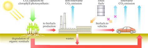 26 Biofuels Cycle Background Engineerings Advies