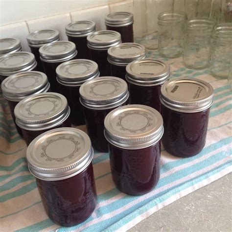 Spiced Plum Jam Recipe for Canning | Family Food Garden