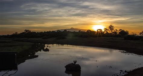 Mejores Safaris En Kenia Y Tanzania Tourradar