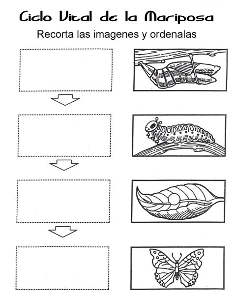 Menta Más Chocolate Recursos Y Actividades Para EducaciÓn Infantil Actividades Para Trabajar