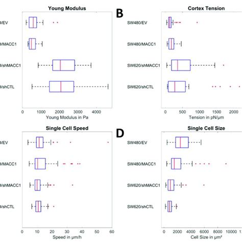 Collective Migration Of Sw480 And Sw620 Cells A The Left Column Download Scientific Diagram