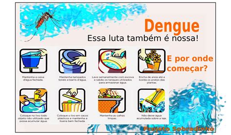 Projeto De AÇÃo ComunitÁria De Sobradinho Ba Todos Contra A Dengue