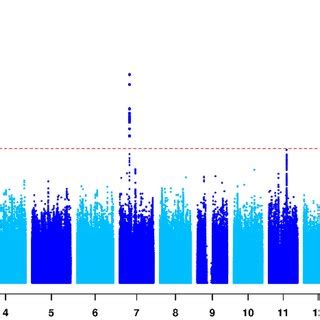 Manhattan Plot Visualizing Genome Wide Results From The Vqtl Analysis