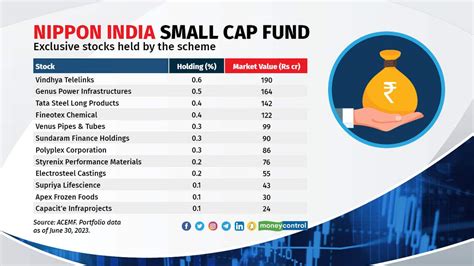 Stock Market: These small cap stocks have tremendous potential for ...