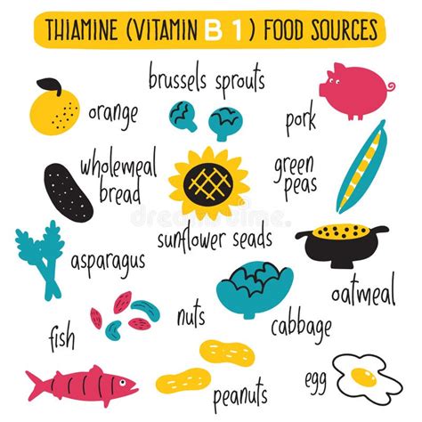 Vitamin B Complex Benefits Vector Cartoon Infographics Poster Stock