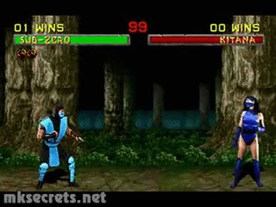 Mortal Kombat II - Friendship- Sub-Zero on Make a GIF