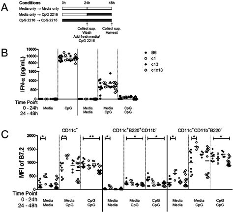 Tlr Tolerance Impacts On Ifn A Production But Not B Upregulation