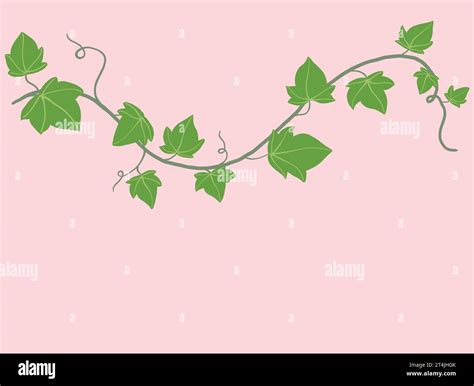 Simplicity Ivy Freehand Drawing Flat Design Vector Image Stock Vector